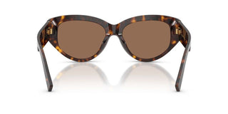 Dolce & Gabbana DG 4514 women Havana Cat Eye Sunglasses