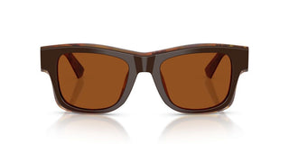 Dolce & Gabbana DG 4515 men Brown Squared Sunglasses