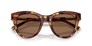 Dolce & Gabbana DG 4518 women Havana Pantos Sunglasses