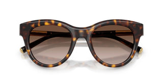 Dolce & Gabbana DG 4518 women Havana Pantos Sunglasses