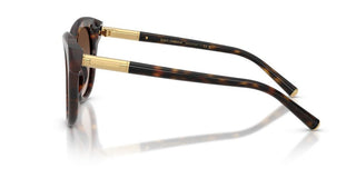 Dolce & Gabbana DG 4518 women Havana Pantos Sunglasses