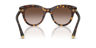 Dolce & Gabbana DG 4518 women Havana Pantos Sunglasses