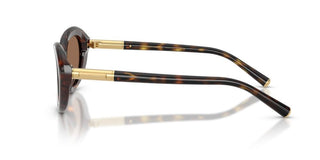 Dolce & Gabbana DG 4519 women Havana Oval Sunglasses