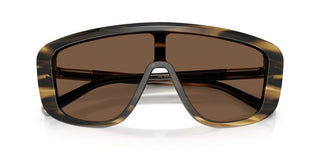 Dolce & Gabbana DG 4520 men Brown Shield Sunglasses