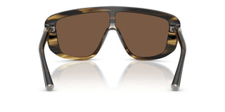 Dolce & Gabbana DG 4520 men Brown Shield Sunglasses