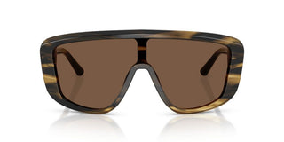 Dolce & Gabbana DG 4520 men Brown Shield Sunglasses