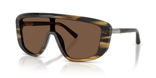 Dolce & Gabbana DG 4520 men Brown Shield Sunglasses