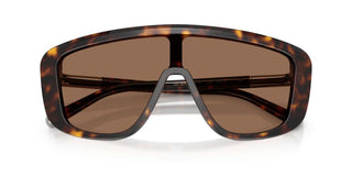 Dolce & Gabbana DG 4520 men Havana Shield Sunglasses