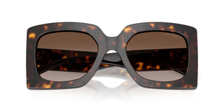 Dolce & Gabbana DG 4525B women Havana Butterfly Sunglasses