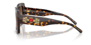 Dolce & Gabbana DG 4525B women Havana Butterfly Sunglasses