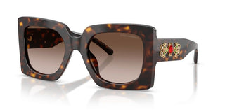 Dolce & Gabbana DG 4525B women Havana Butterfly Sunglasses