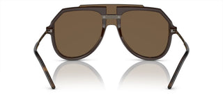 Dolce & Gabbana DG 6195 men Havana Pilot Sunglasses