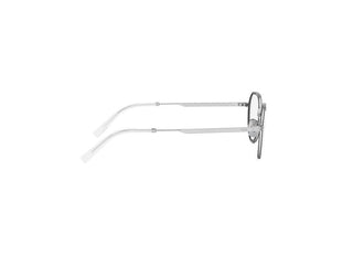 DIOR DiorBotanicaO DiorBotanicaO R2U men Silver Pantos Eyeglasses