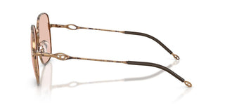 Diesel Dl 1010d Women Brown Squared Sunglasses