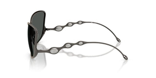 Diesel Dl 1013 Unisex Ruthenium Other Sunglasses
