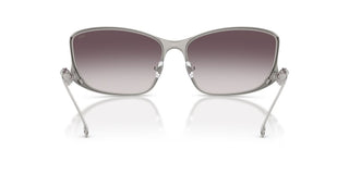 Diesel Dl 1013 Unisex Ruthenium Other Sunglasses