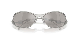 Diesel DL 1014 unisex Silver Other Sunglasses