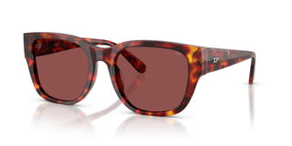 Diesel DL 2005 unisex Havana Squared Sunglasses