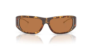Diesel DL 3001 unisex Havana Other Sunglasses