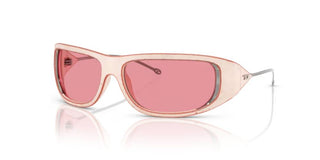 Diesel DL 3001 unisex Pink Other Sunglasses