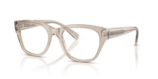 Diesel DL 4001F unisex Brown Pantos Eyeglasses