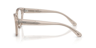 Diesel DL 4001 unisex Brown Pantos Eyeglasses