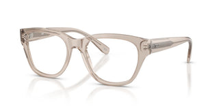 Diesel DL 4001 unisex Brown Pantos Eyeglasses