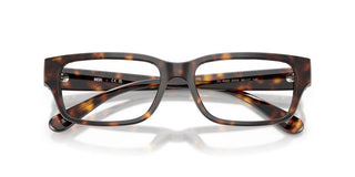 Diesel DL 4002 unisex Havana Rectangle Eyeglasses