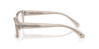 Diesel DL 4002 unisex Brown Rectangle Eyeglasses