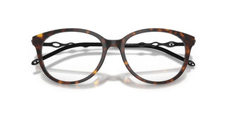 Diesel DL 4007 women Havana Pantos Eyeglasses