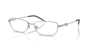 Diesel Dl 5002 Unisex Silver Rectangle Eyeglasses
