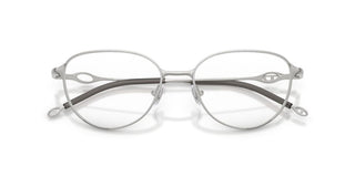 Diesel DL 5003 unisex Silver Squared Eyeglasses