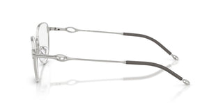 Diesel DL 5003 unisex Silver Squared Eyeglasses