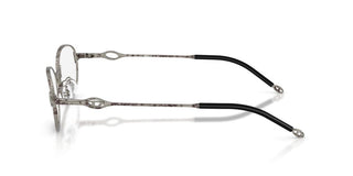 Diesel DL 5004D unisex Silver Oval Eyeglasses