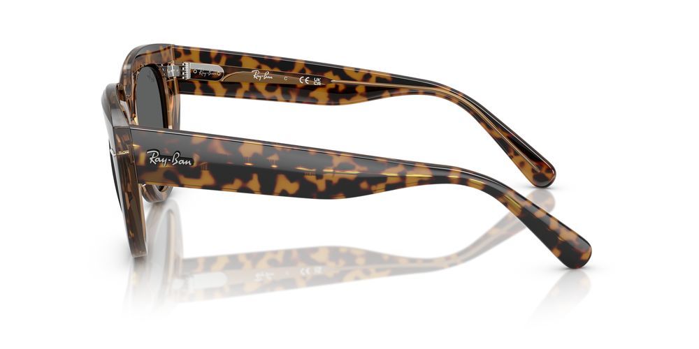 Ray-Ban DOREEN RB 2286 women Havana Cat Eye Sunglasses Ray-Ban DOREEN RB 2286 women Havana Cat Eye Sunglasses