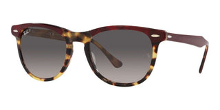Ray-Ban EAGLEEYE RB 2398 unisex Havana Squared Sunglasses