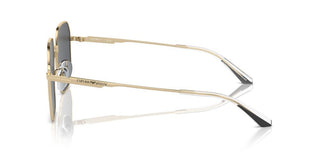 Emporio Armani Ea 2154d Men Gold Pilot Sunglasses