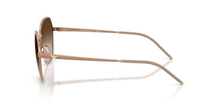 Emporio Armani EA 2161 women Brown Geometric Sunglasses