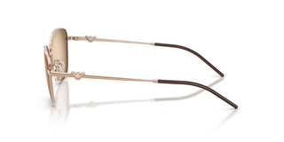 Emporio Armani EA 2170 women Rose gold Cat Eye Sunglasses