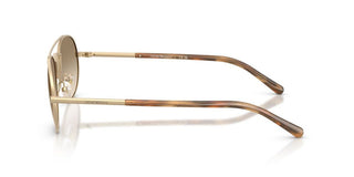 Emporio Armani EA 2171 men Gold Round Sunglasses
