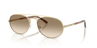 Emporio Armani EA 2171 men Gold Round Sunglasses