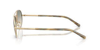 Emporio Armani EA 2171 men Gold Round Sunglasses