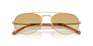 Emporio Armani EA 2171 men Gold Round Sunglasses
