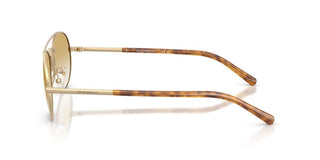 Emporio Armani EA 2171 men Gold Round Sunglasses