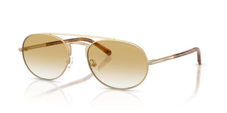 Emporio Armani EA 2171 men Gold Round Sunglasses