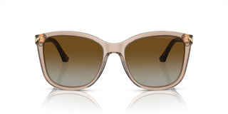 Emporio Armani EA 4060 women Brown Cat Eye Sunglasses