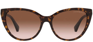 Emporio Armani EA 4162 women Havana Cat Eye Sunglasses