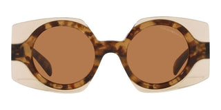 Emporio Armani EA 4207 women Havana Geometric Sunglasses