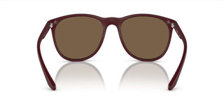 Emporio Armani EA 4210 men Brown Squared Sunglasses