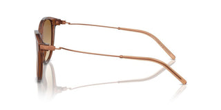 Emporio Armani Ea 4220 Women Brown Cat Eye Sunglasses